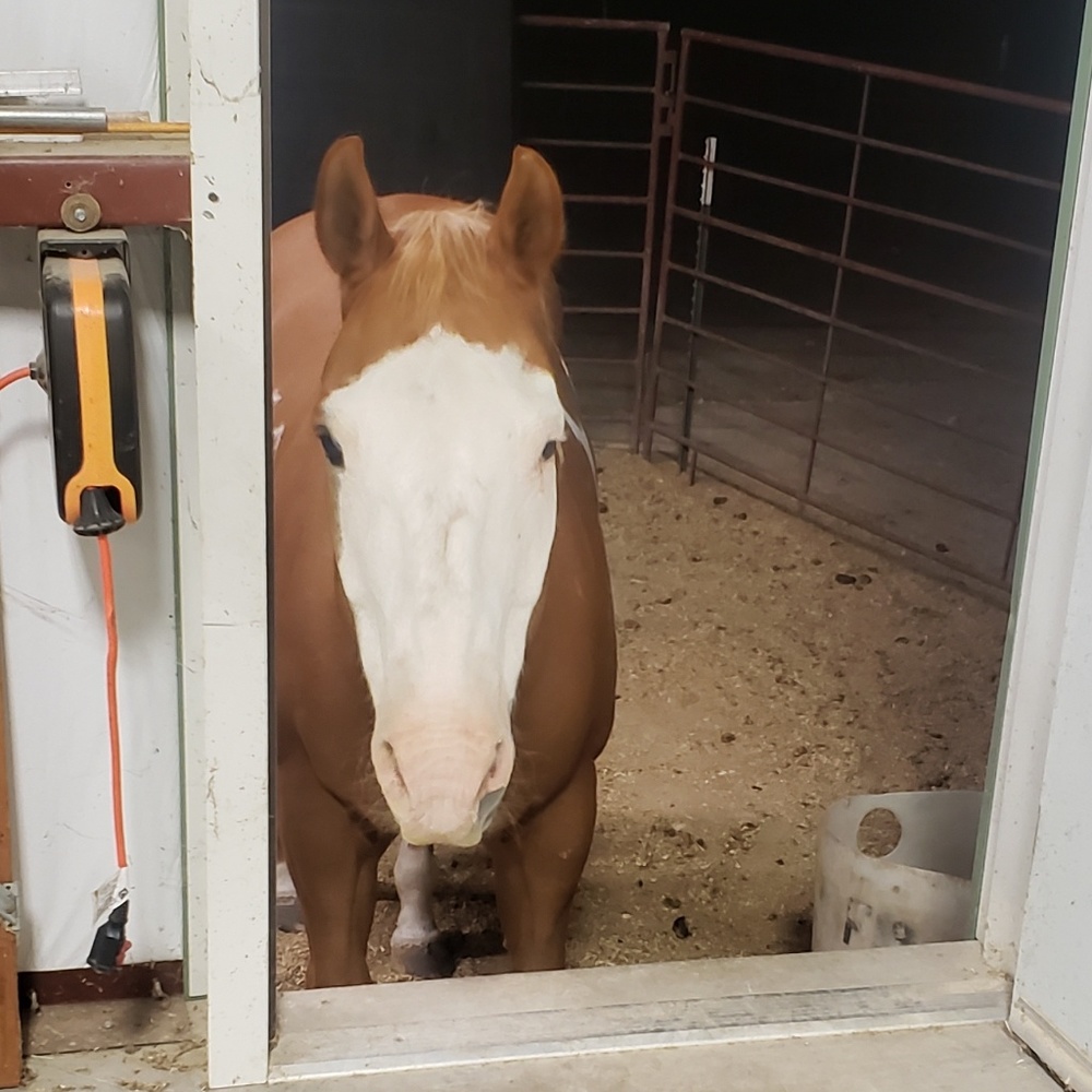 Meet your Posher, Jescica